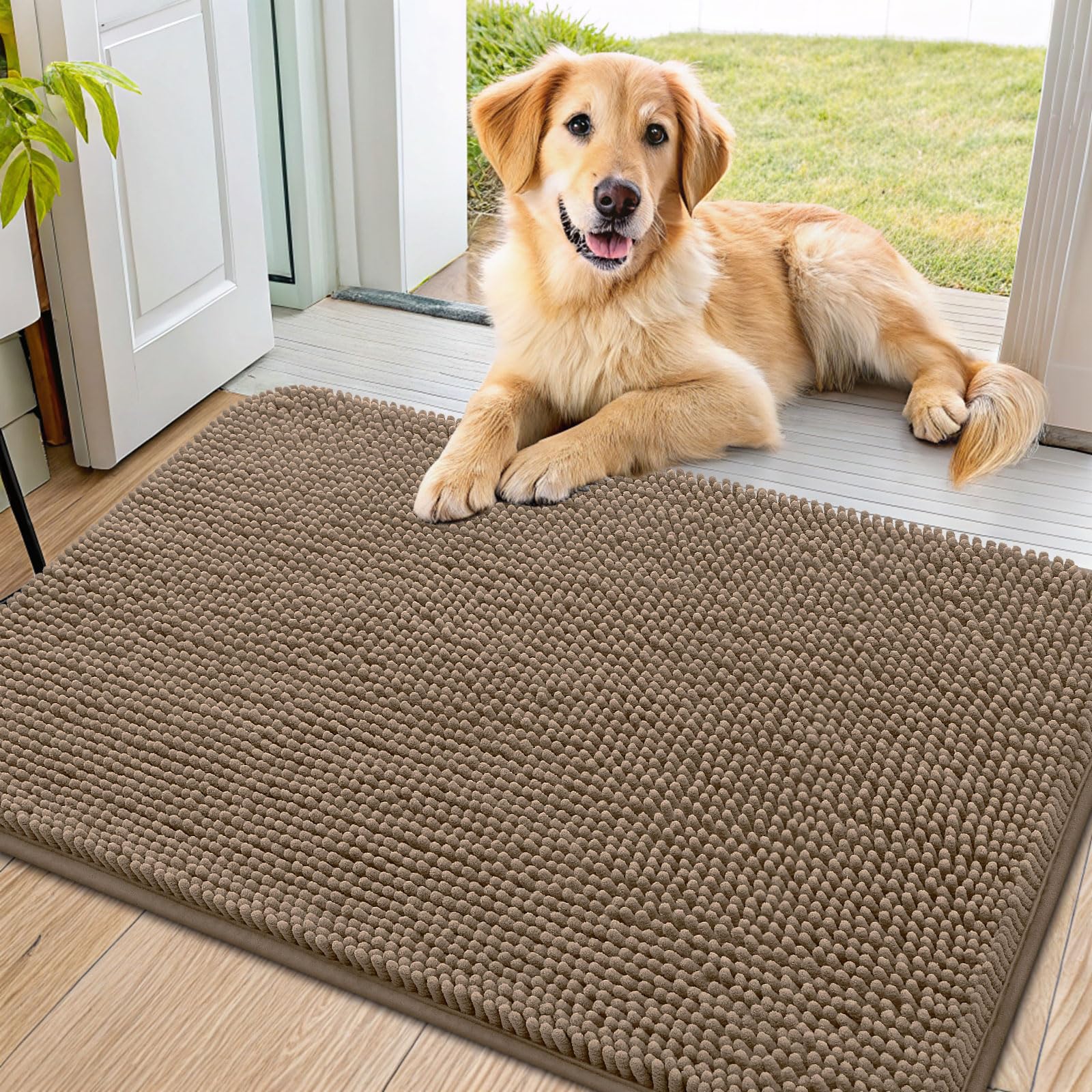 Alfombra Smiry para la entrada con enfoque patas mojadas y absorbe humedad