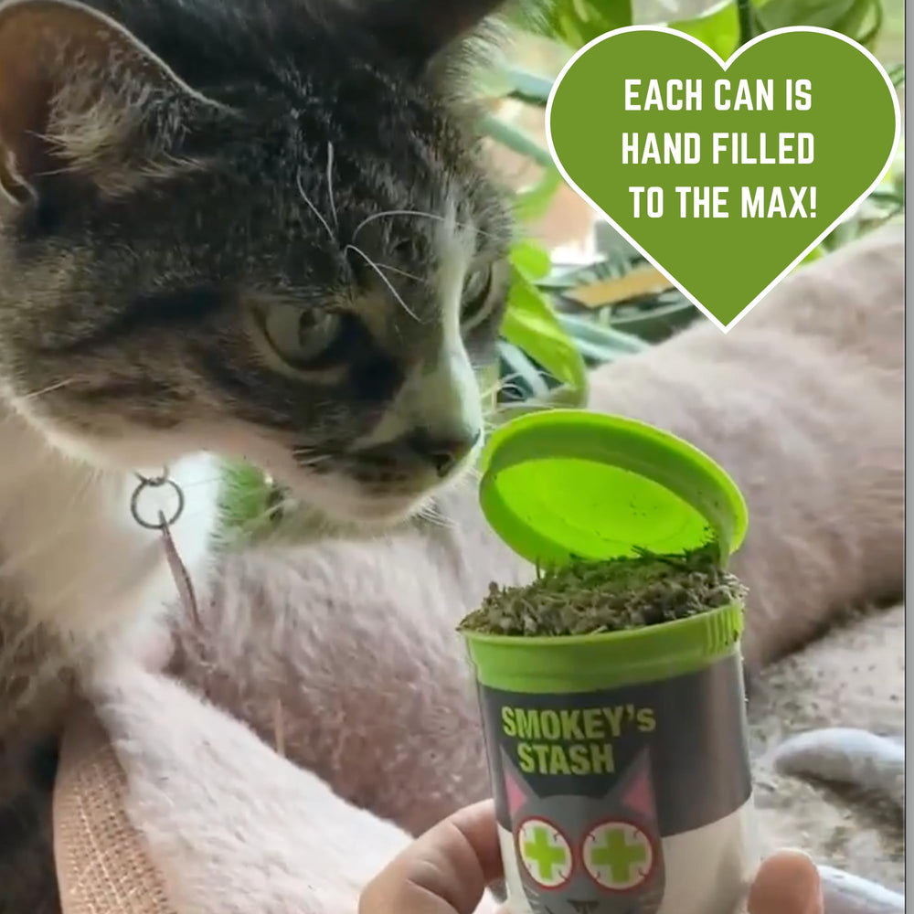 Smokey's Stash Menta Gatuna aplicada en juguete para revitalizarlo