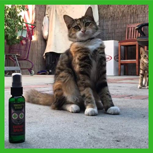 Smokey's Stash Menta Gatuna para entrenamiento de arañar de forma suave