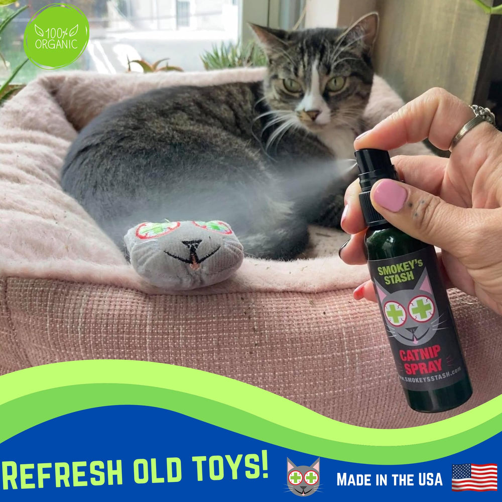 Smokey's Stash Menta Gatuna Orgánico en hojas para ejercicio y exploración