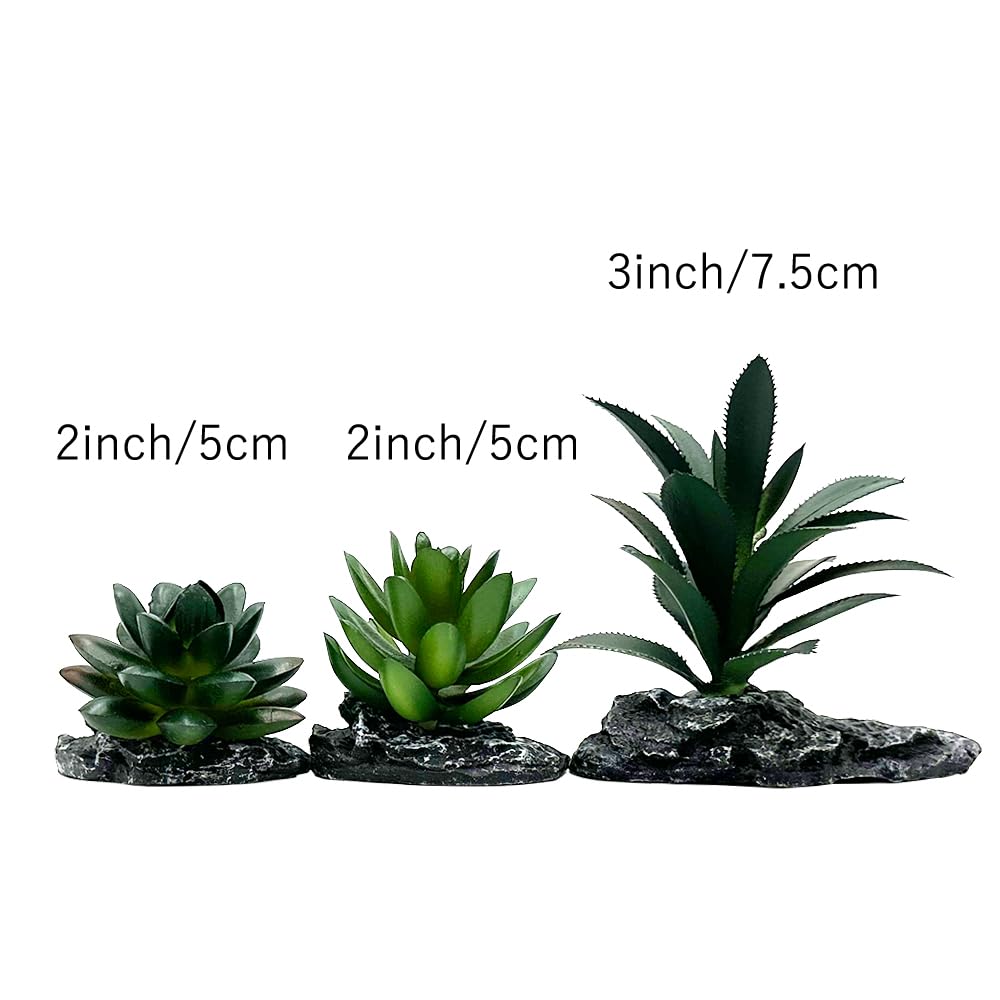 Conjunto Smoothedo-Pets, plantas artificiales para reptiles, añade verdor sin mantenimiento.