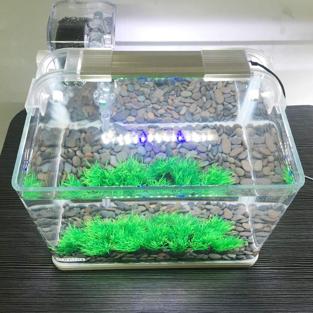 Empaque sellado Smoothedo-Pets puede generar olor ligero, ventilación lo elimina