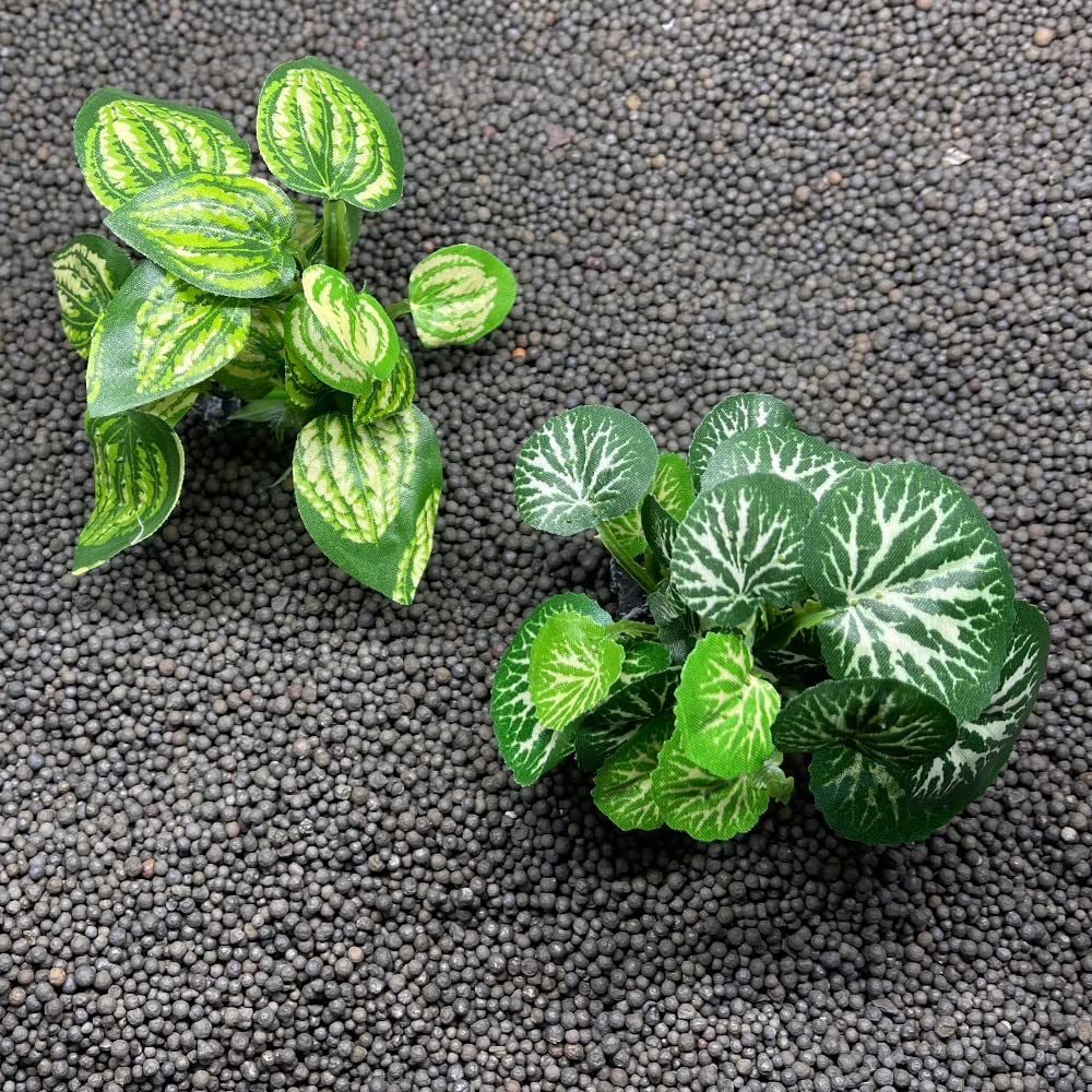 Set de plantas Smoothedo-Pets para acuario compatible con bettas y goldfish