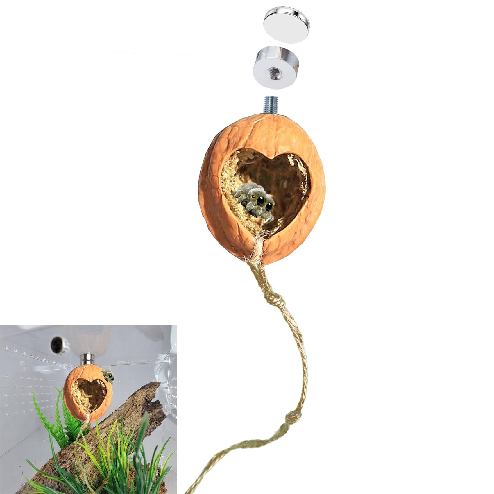 SMSUX Refugio Saltarín para Arañas muestra la cueva de madera con musgo natural para refugio cómodo.