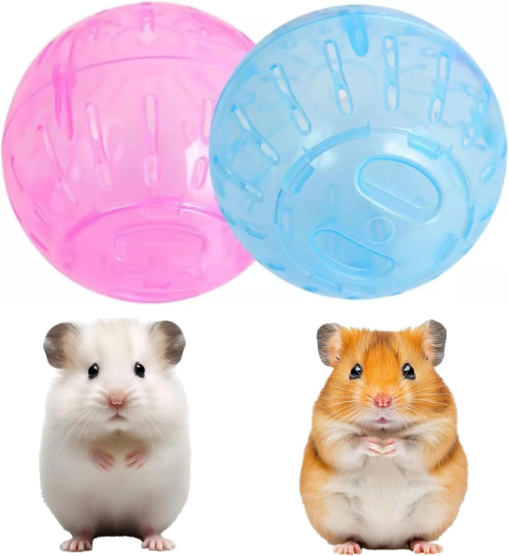 Actividad física para mascotas pequeñas con Sndperiexam