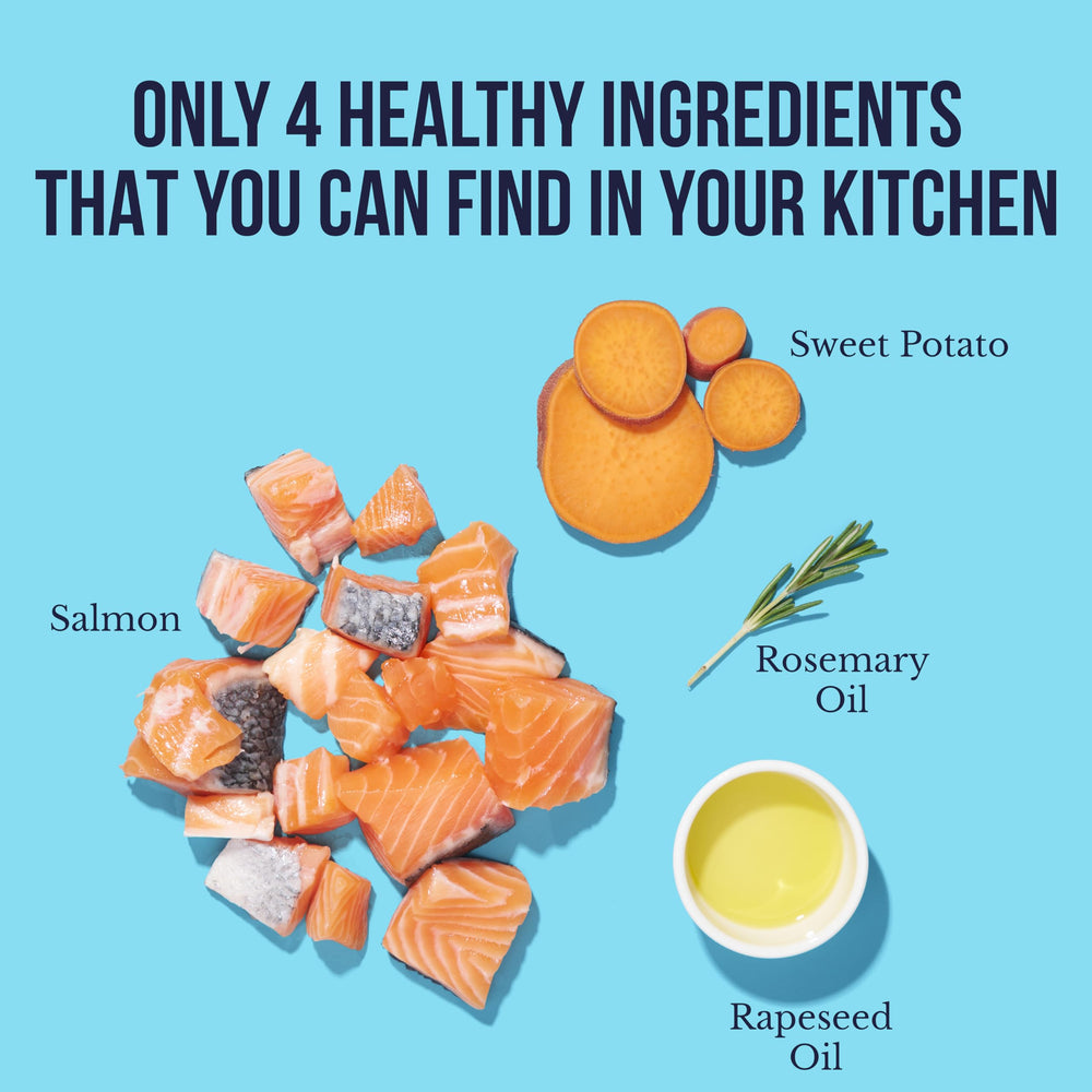 Recompensa saludable para sesiones de adiestramiento con Snif-Snax.
