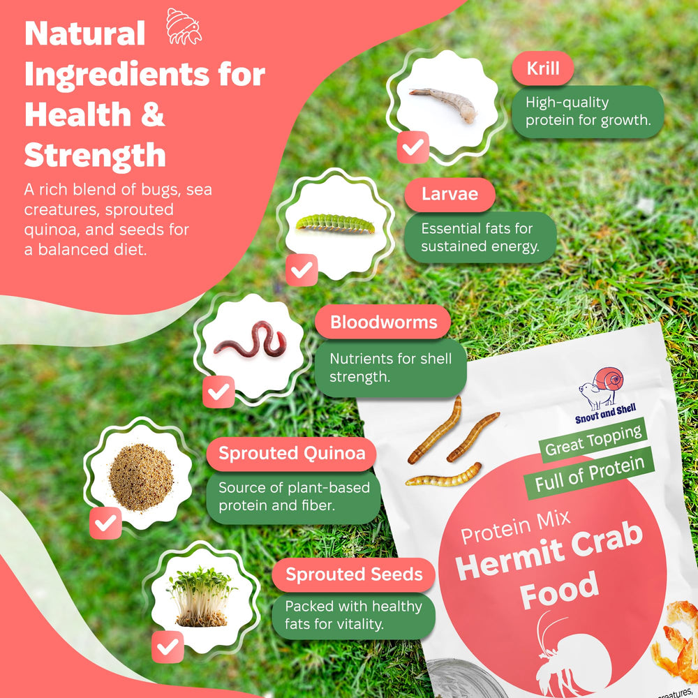 Snout and Shell: algas marinas y espirulina para exoesqueleto saludable