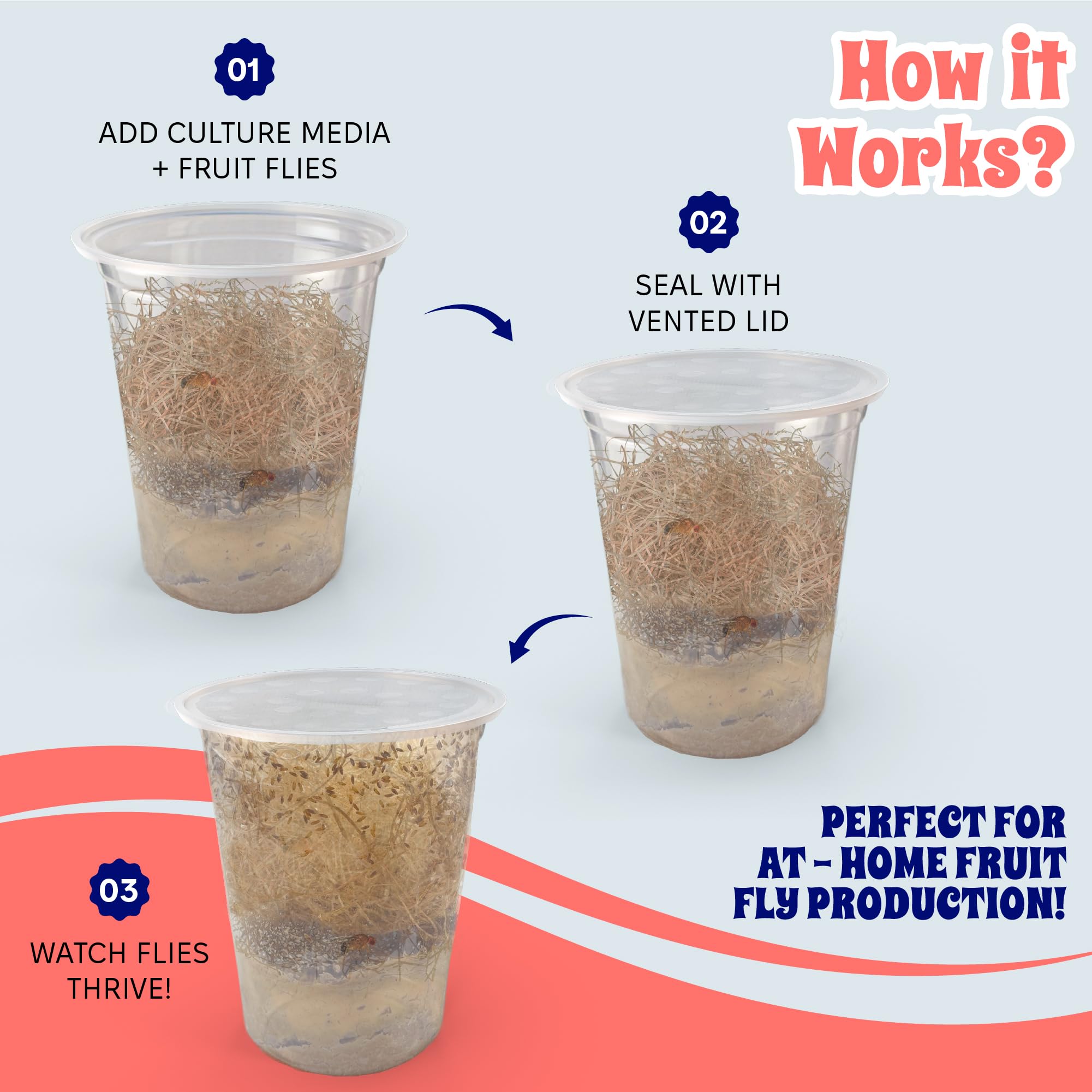 Tapas de ajuste seguro en Snout and Shell Deli cups para transporte seguro