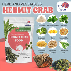 Snout and Shell — feuilles-verdure-crabe-hermite, fibres et variété dans l'alimentation.