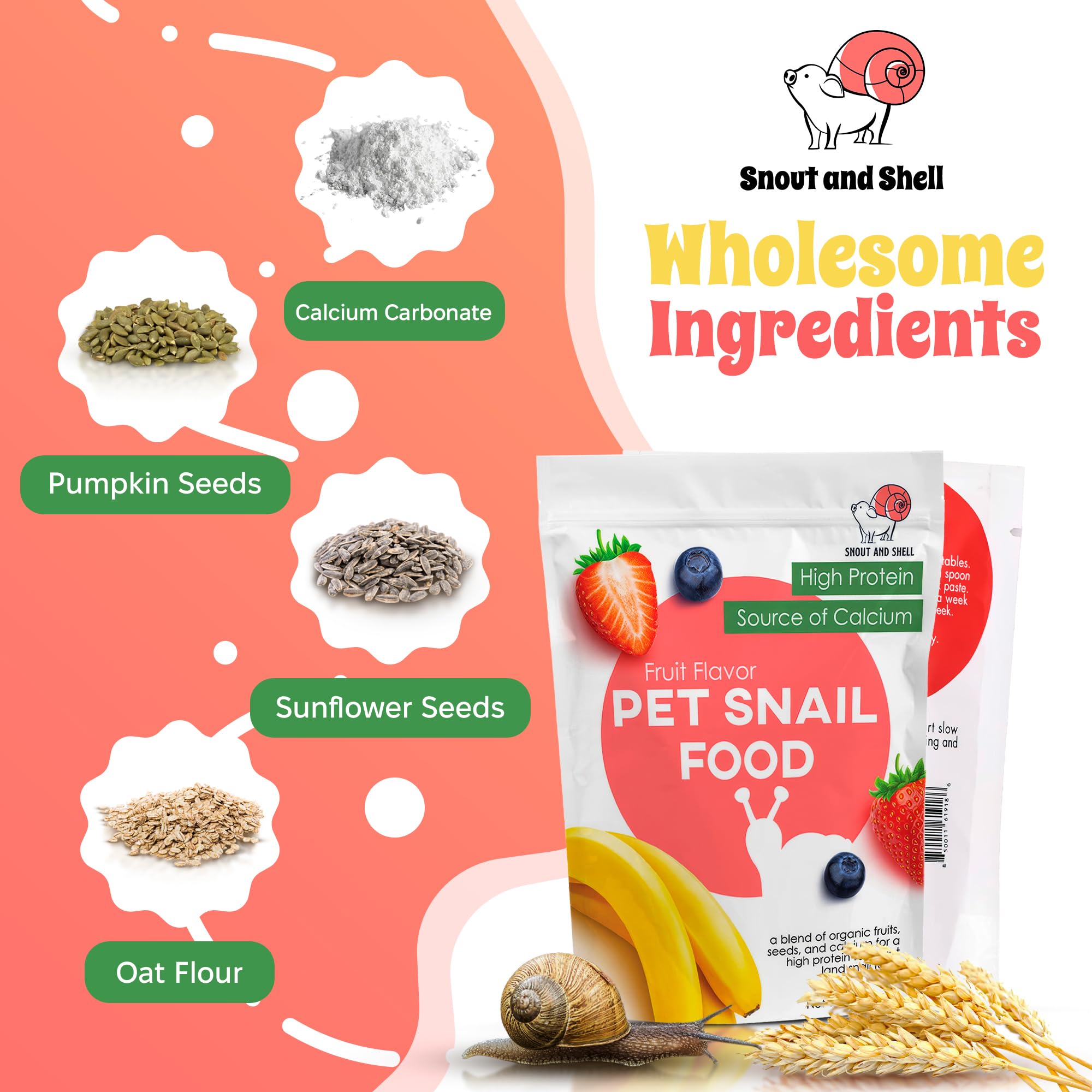 Snout and Shell: mezcla de calcio y proteína vegetal para caparazón más fuerte