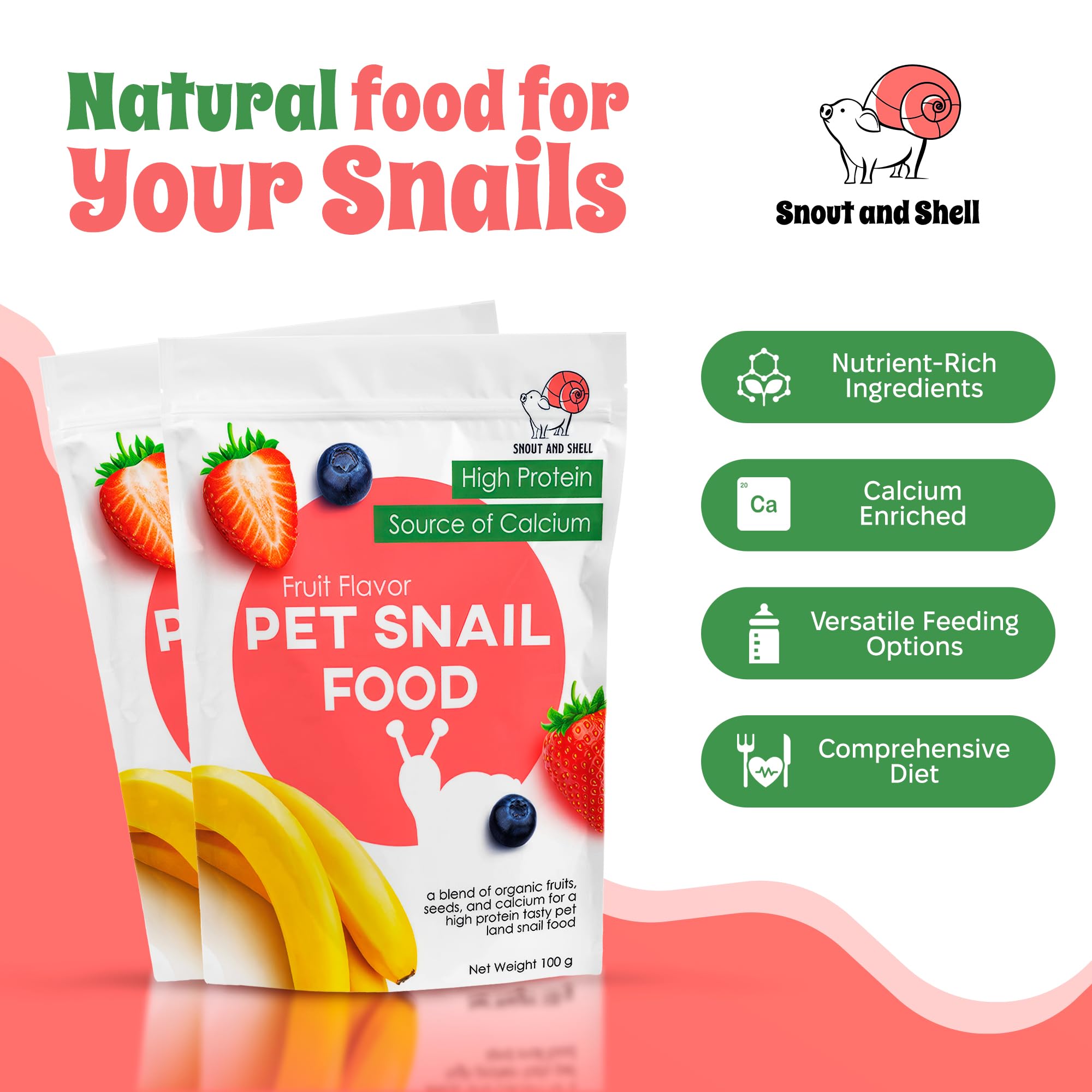 Snout and Shell: ideal para terrario y jardín de caracoles