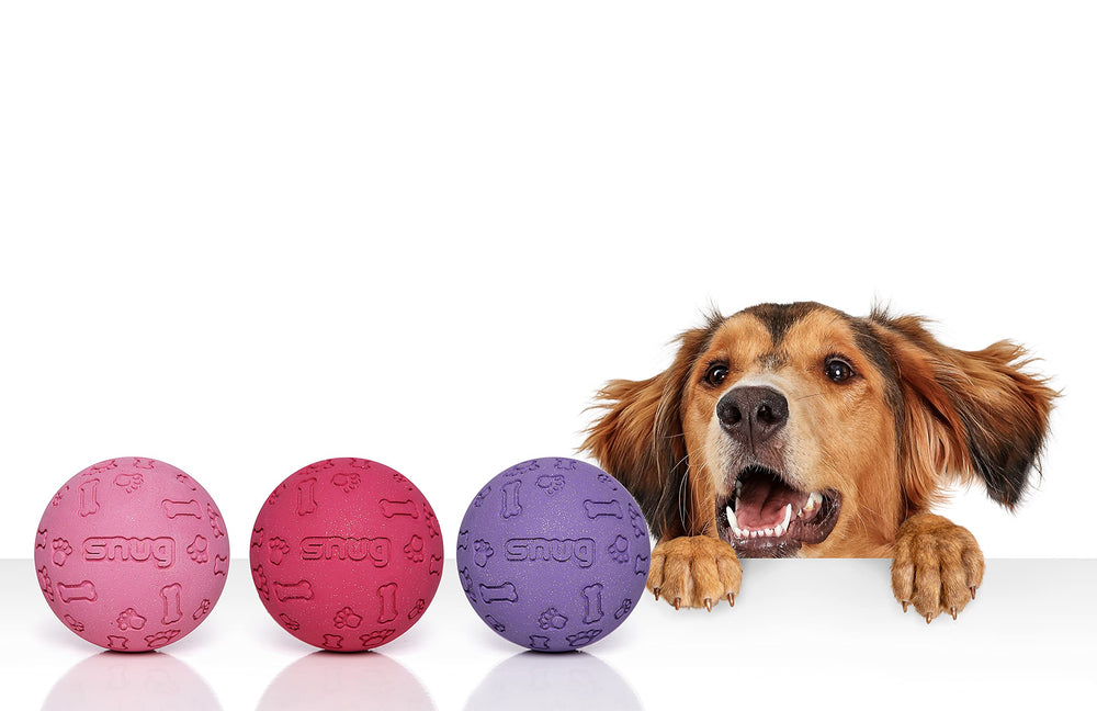 Bola Snug de caucho para perros medianos, resistente para lanzamientos.