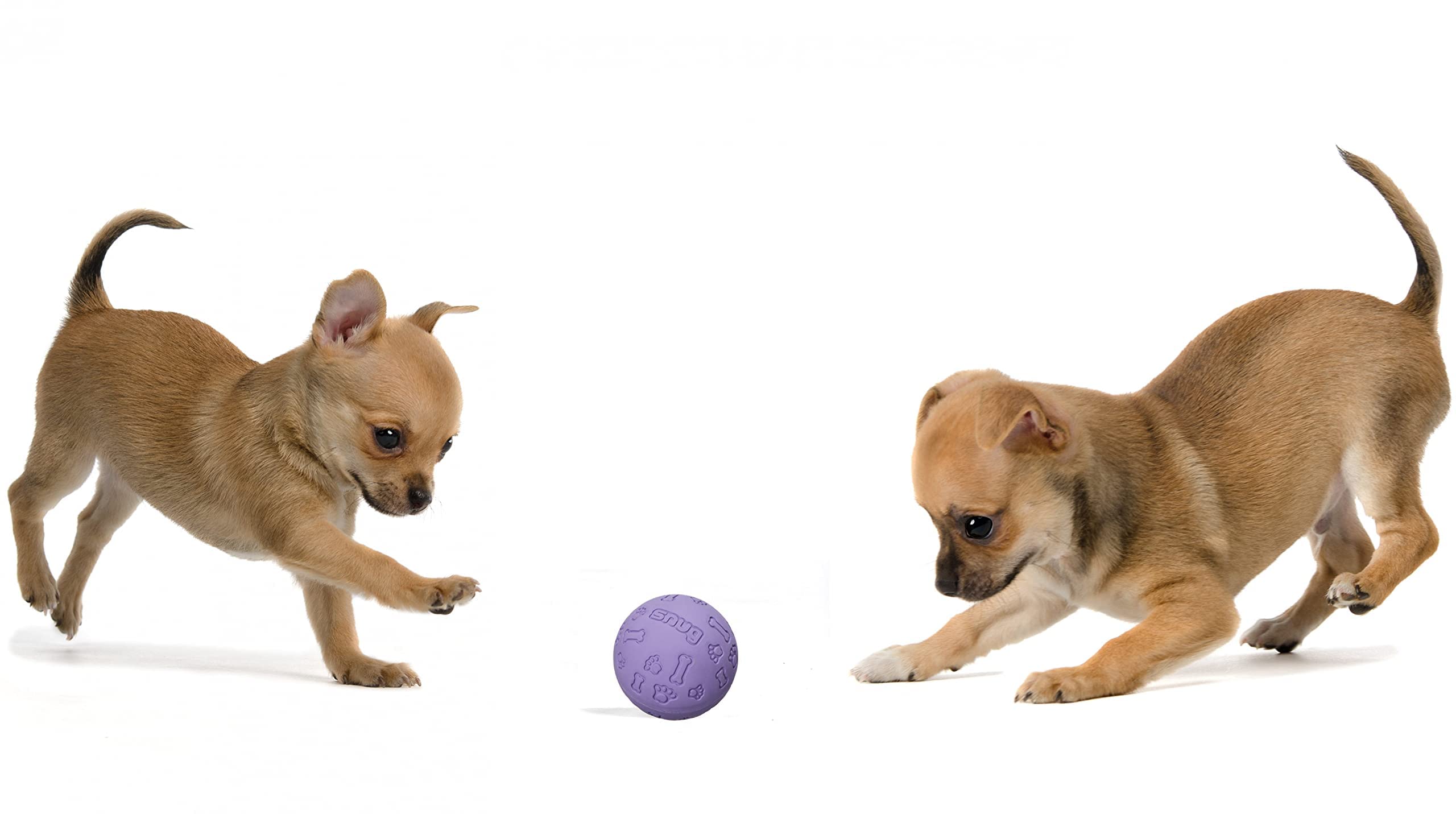 Bola Snug para juego interactivo en interior y exterior.