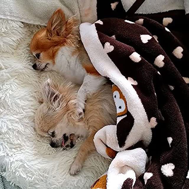 Juguete masticable Snuggle Puppy para cachorros, seguro y duradero.