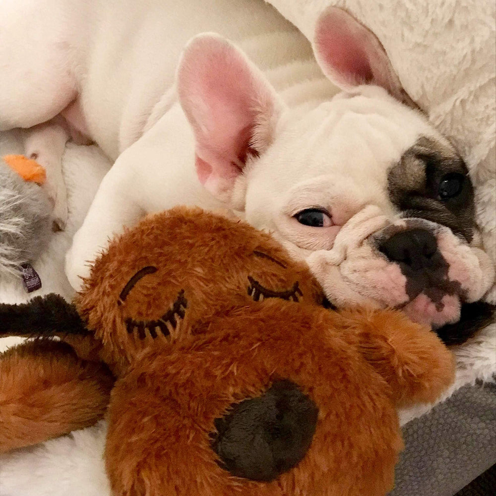 Uso versátil de Snuggle Puppy para esquiadores y atletas de clima frío.