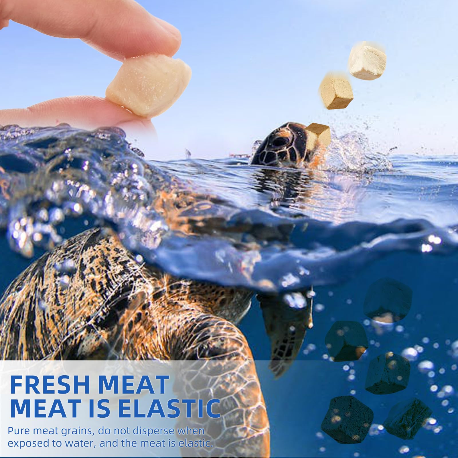 Sobirdos Turtle Treats tortuga comiendo; facilita la digestión gracias a la fibra