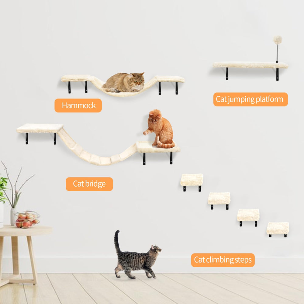 Sobly bola de juego para gato, estímulo lúdico y diversión interactiva.