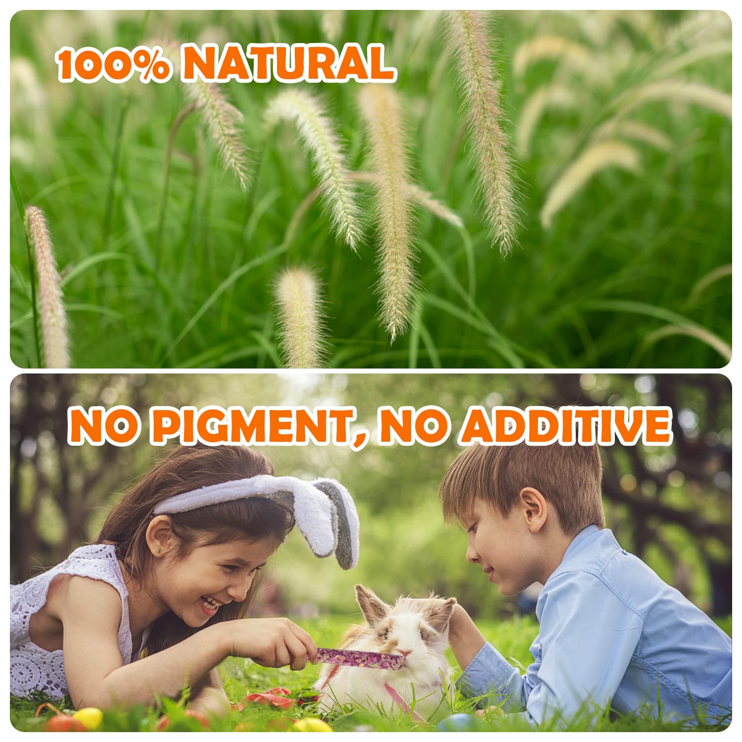 Sofier animales disfrutan de palitos de heno, snack natural y gustoso.