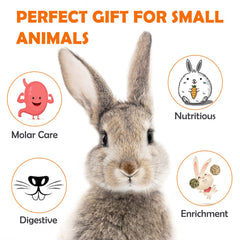 Sofier friandises foin Timothy 100% naturel, sans pigments ni hormones.