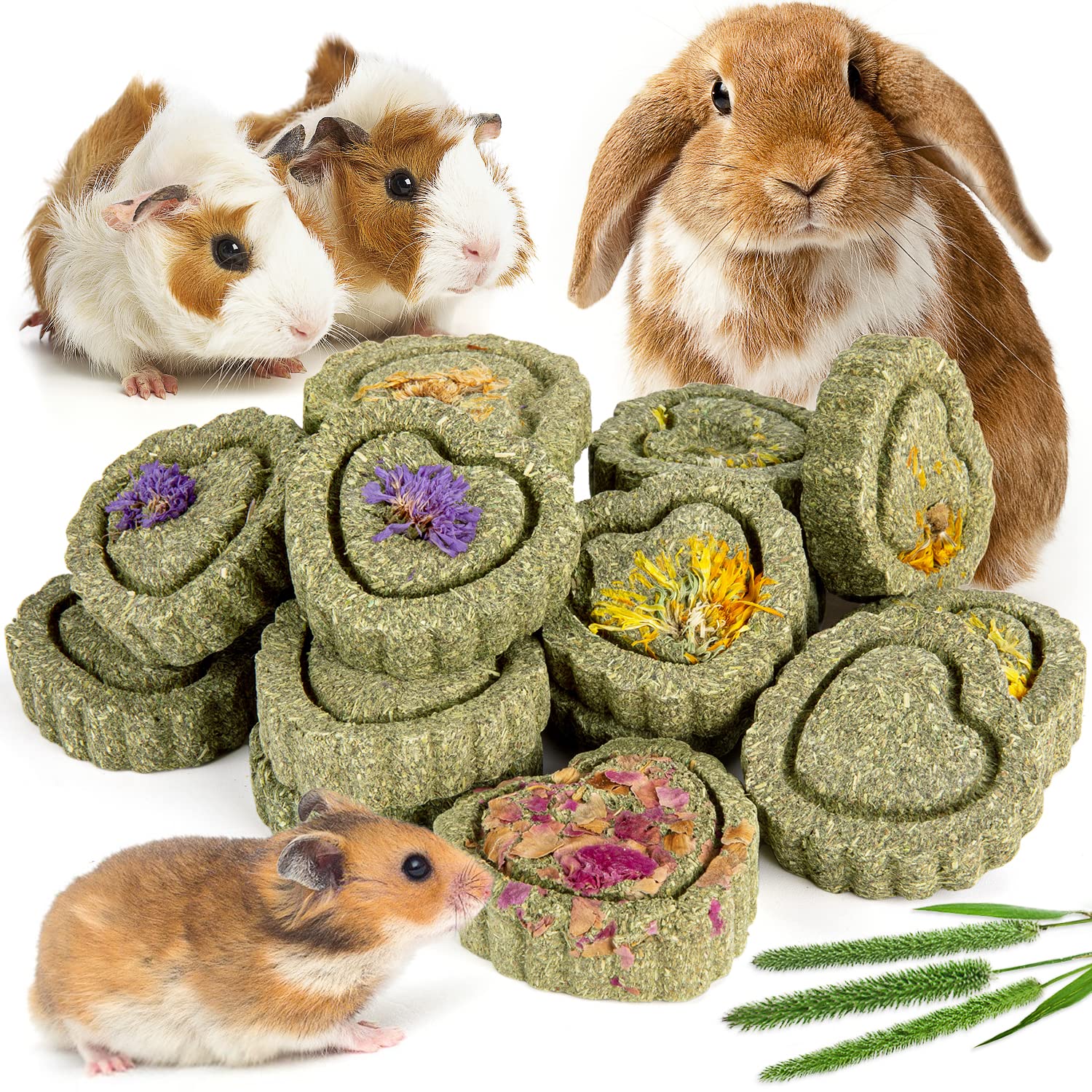 Sofier friandises foin Timothy en boîte, texture croquante pour le rongement et la mastication.