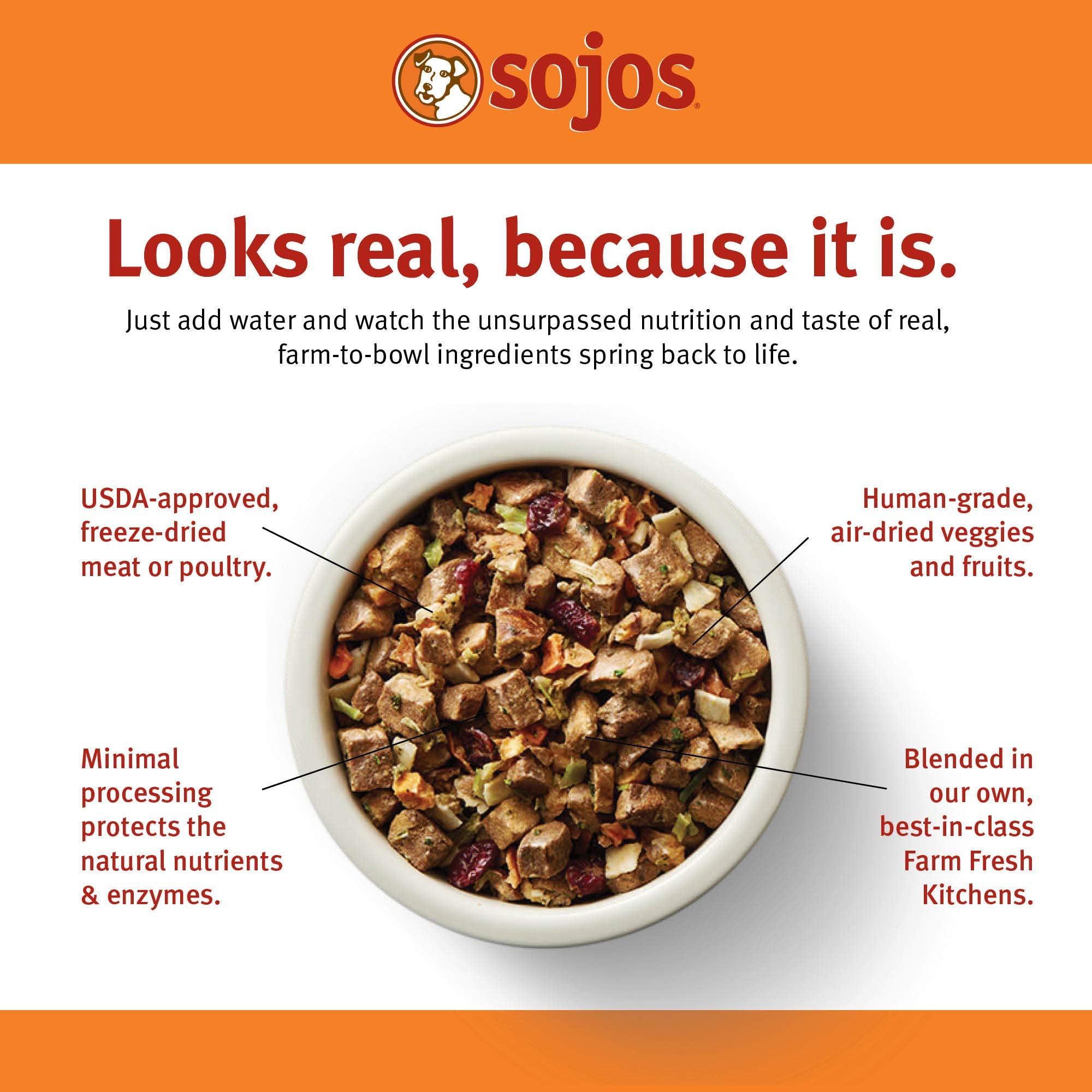Sojos ingredientes de campo frescos, reales para alimentar a perros adultos