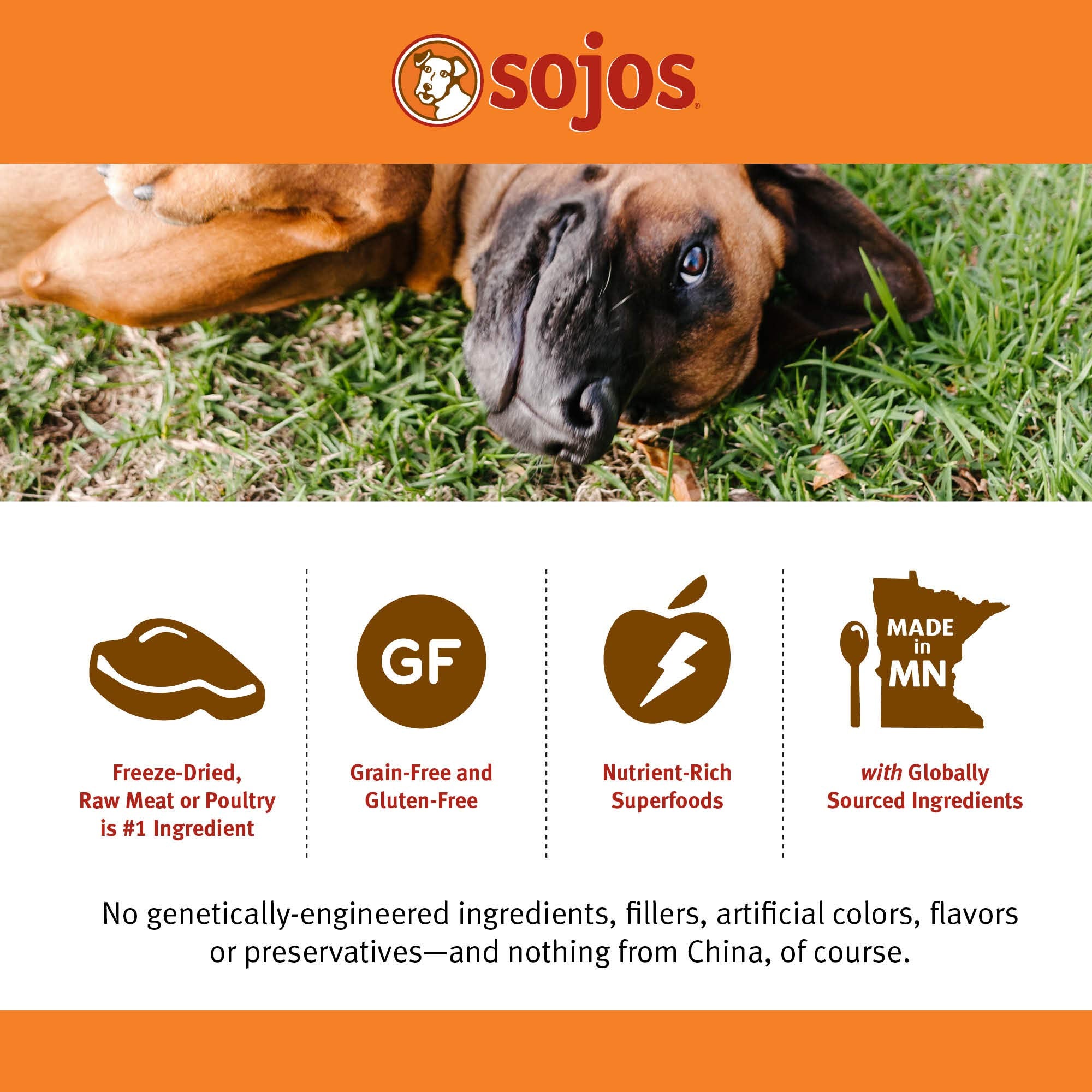 SOJOS proceso liofilizado sin calor: conserva sabor y nutrición.