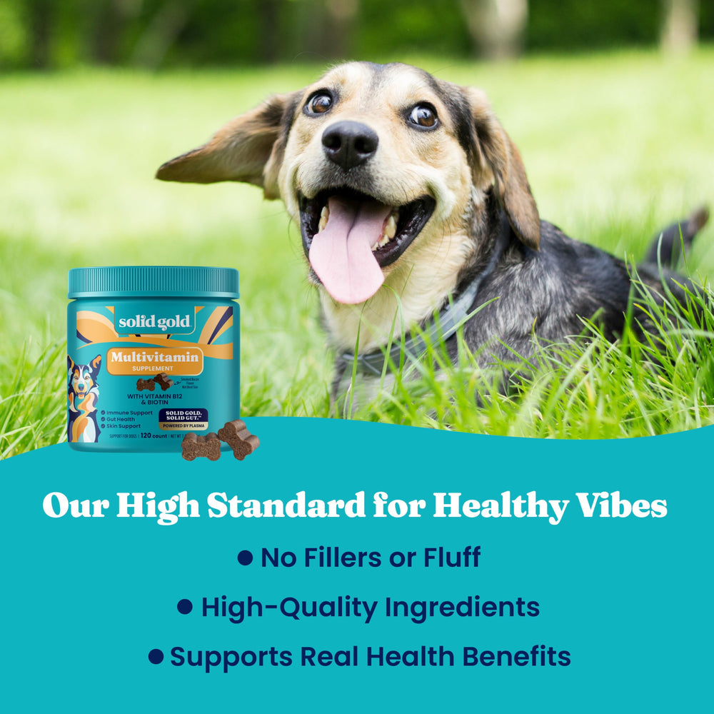 Solid Gold Dog Multivitamin, piel y pelaje sanos con vitaminas y biotina.