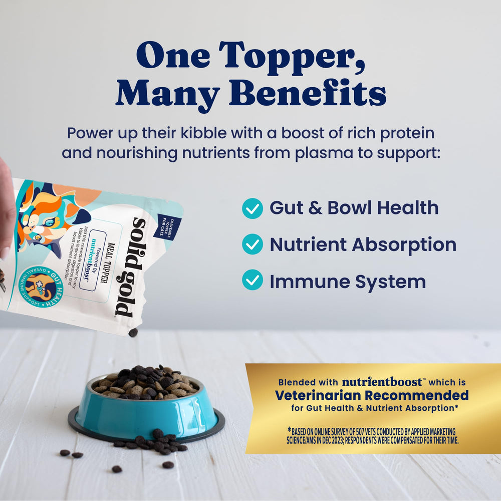 Aplicación de Solid Gold NutrientBoost sobre comida seca para mayor sabor