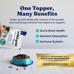 NutrientBoost con plasma para la salud intestinal durante la comida del perro.