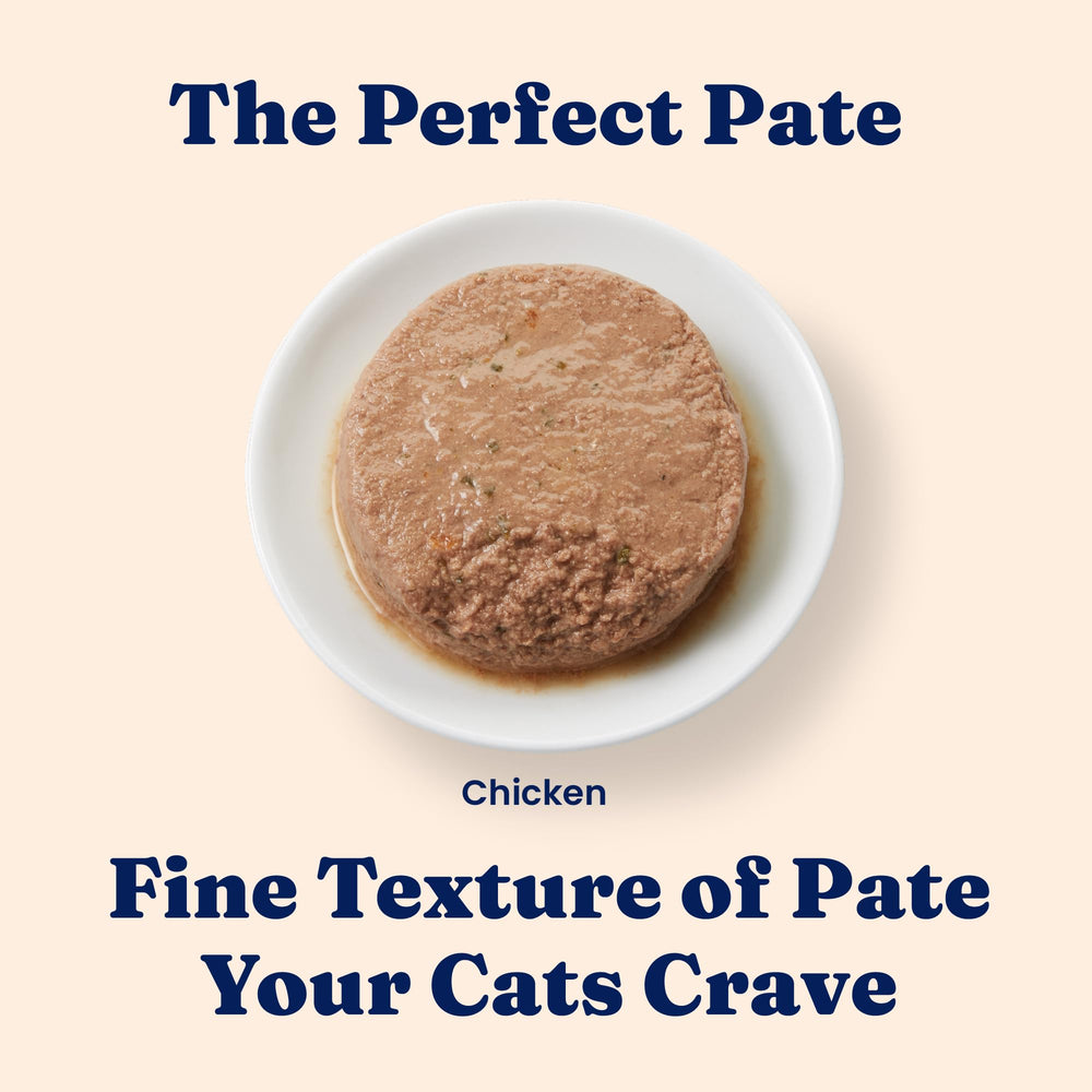 Solid Gold Pate Sin Granos: opción sin granos para dietas sensibles.
