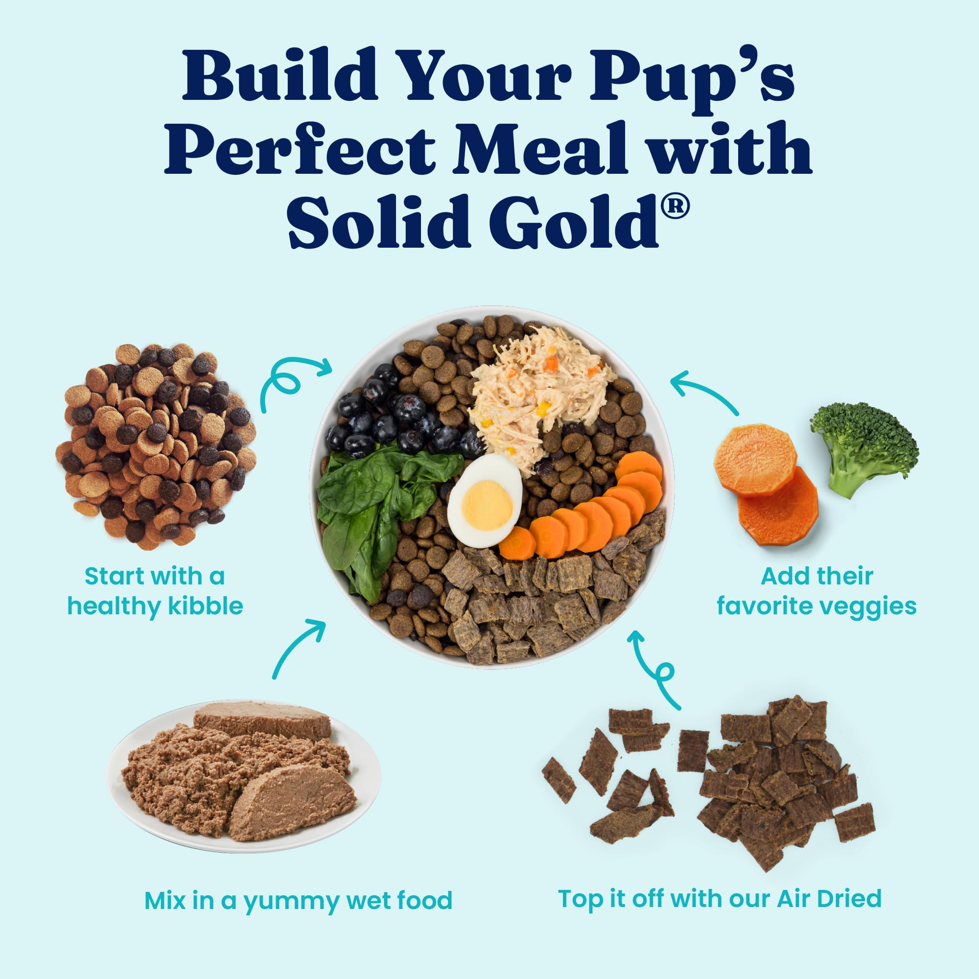 Solid Gold: perros activos obtienen energía para sus juegos diarios.