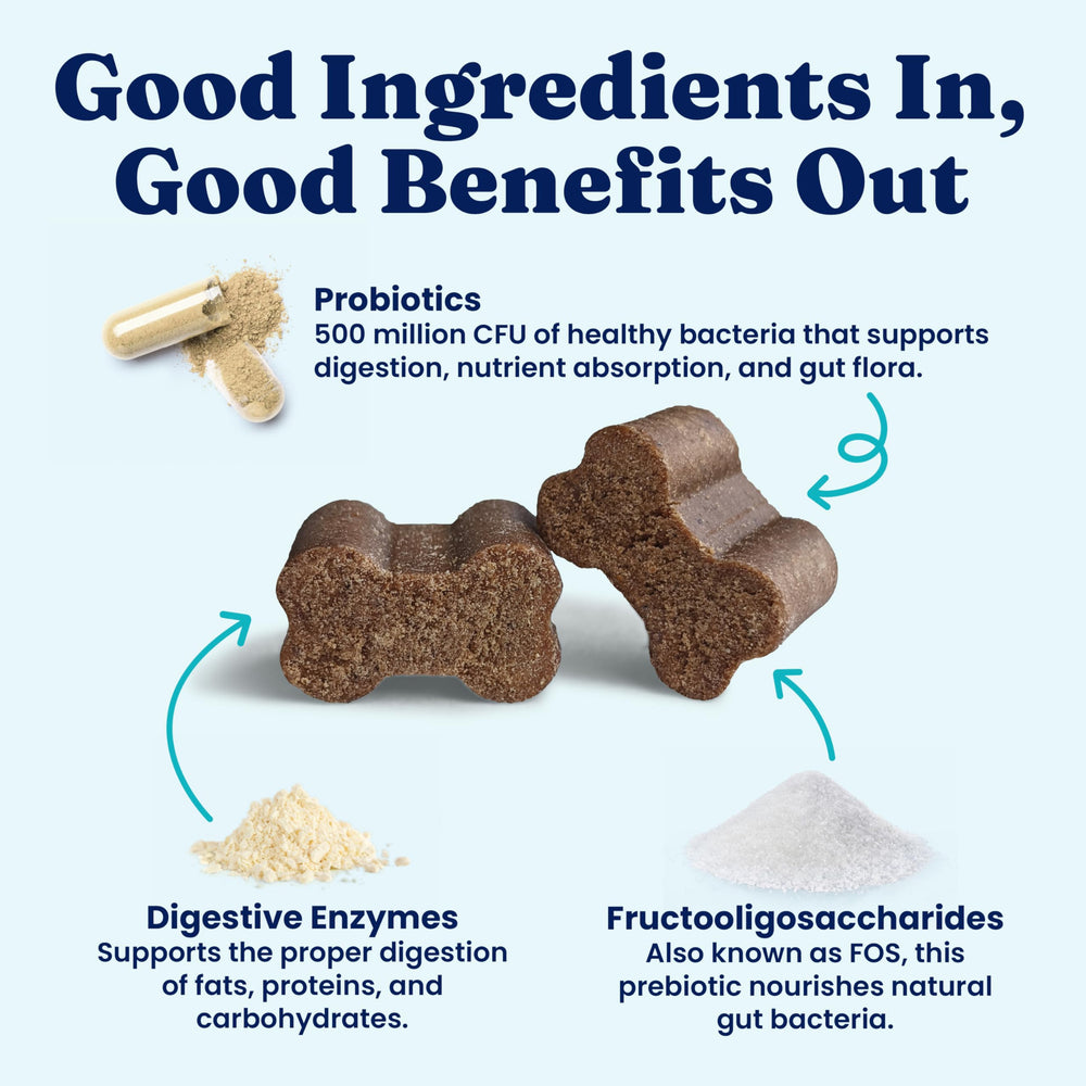 Solid Gold Probiotics para perros, 500 millones de UFC por mordisco para apoyo digestivo.