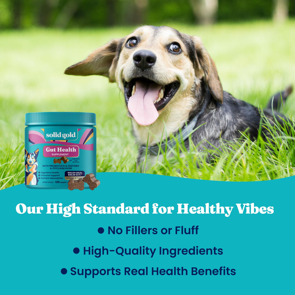 Solid Gold Probiotics para perros, alivio de gases con enzimas digestivas suaves.