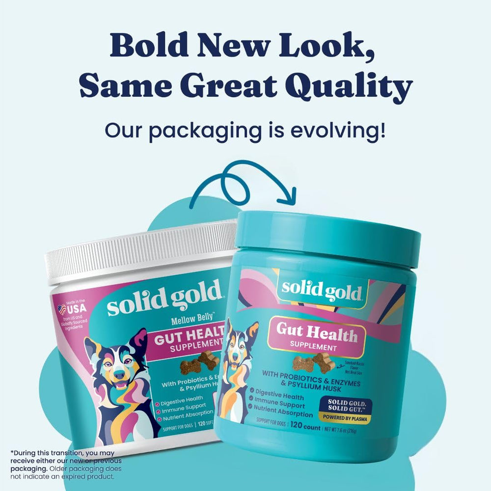 Solid Gold Probiotics para perros, con fibra y prebióticos para apoyo digestivo diario.