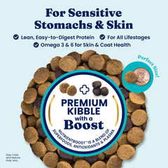 Solid Gold alimento para perros, envase de 22 libras para alimentación diaria.