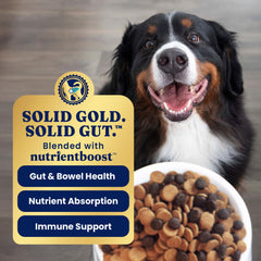 Solid Gold probióticos, 90 millones por libra, apoyan la digestión e equilibrio intestinal.