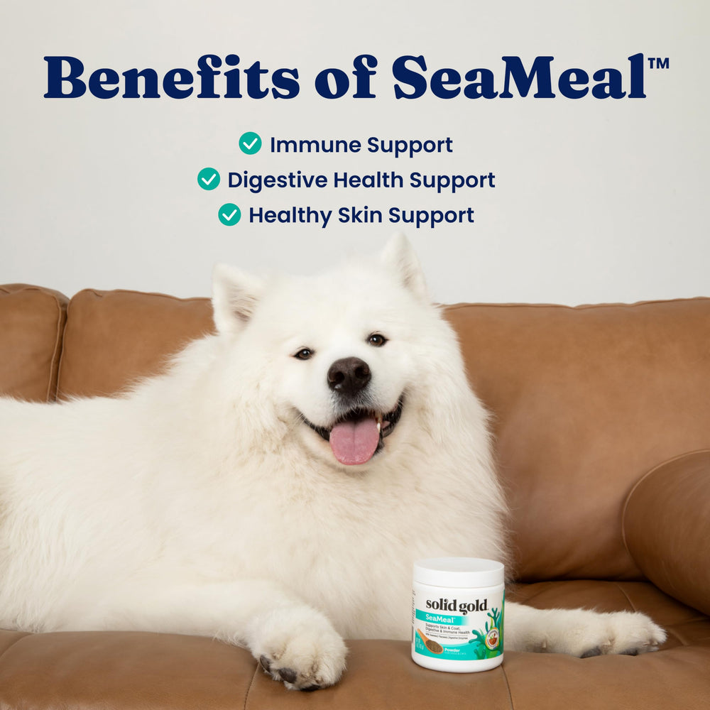 SeaMeal Solid Gold, mezcla en plato para perros y gatos.