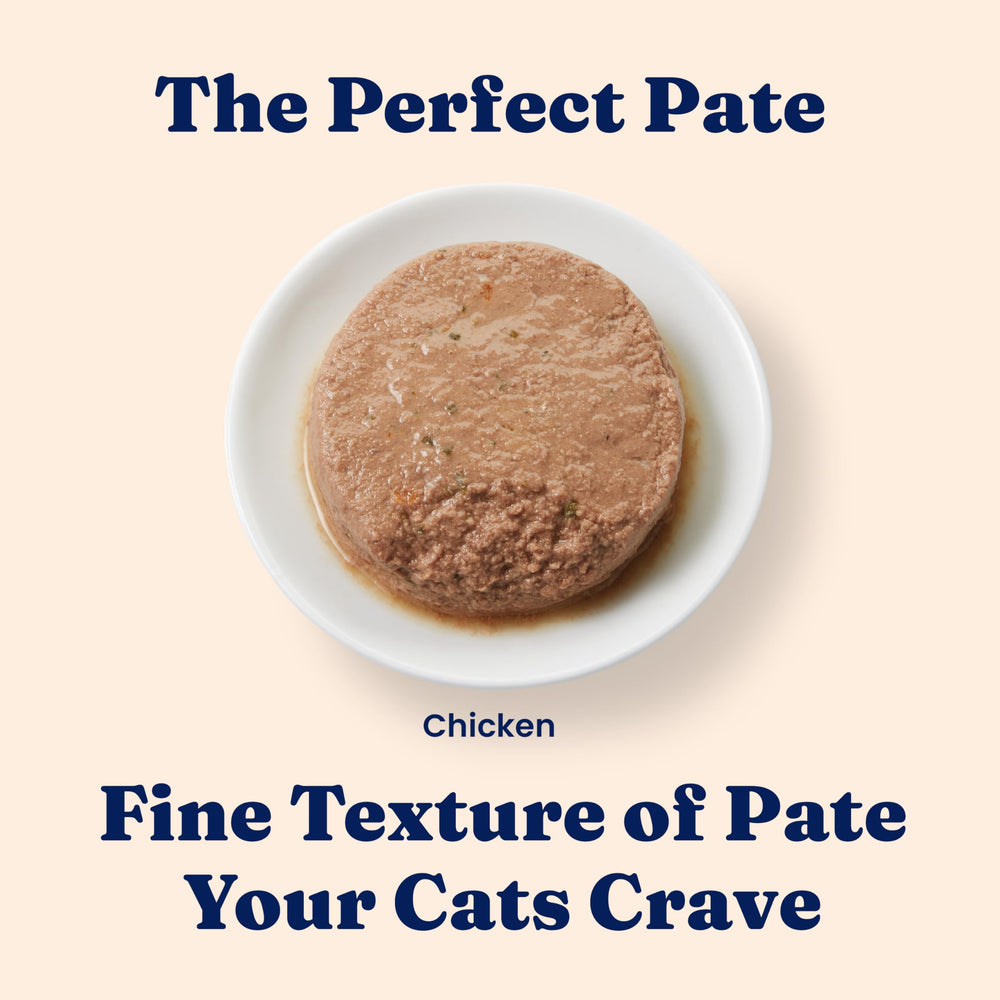 Solid Gold superalimentos paté: aporta nutrientes clave para gatitos activos.