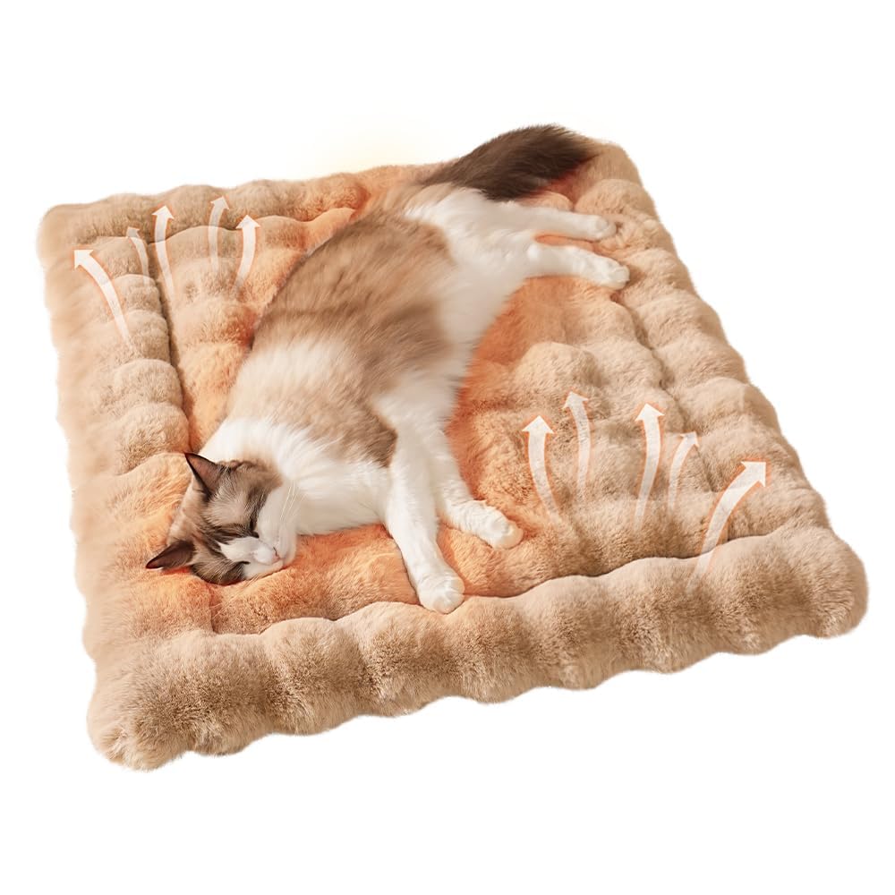 La alfombra de SOMAHE para gatos muestra textura peluche para descanso cómodo