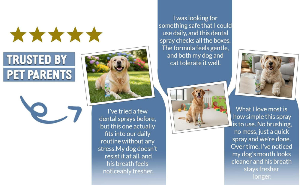 Sonnyridge spray dental sin alcohol para mascotas.