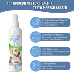 Sonnyridge spray dental, aplicación en encías para dientes sanos.