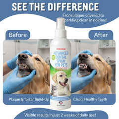 Sonnyridge spray dental, formulación veterinaria de cuidado bucal.