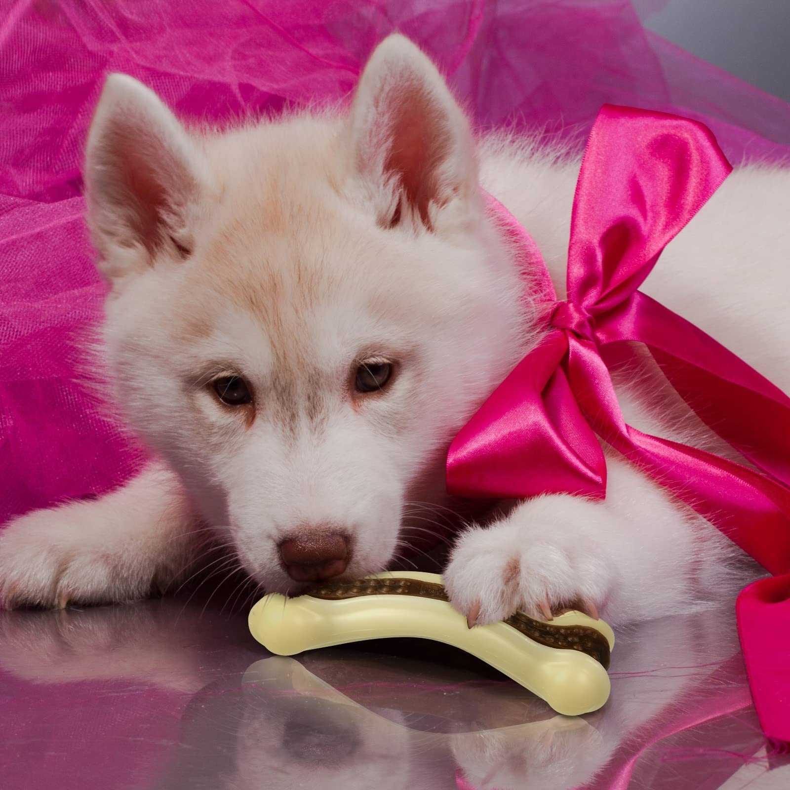 Sosation dos piezas paquete: regalo práctico para perros y dueños.