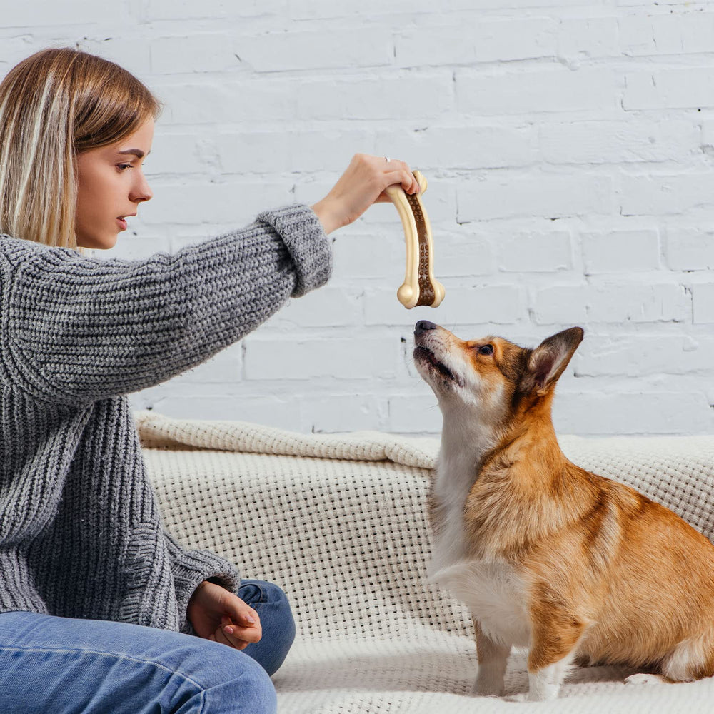 Sosation Regalo ideal para cachorros y perros grandes