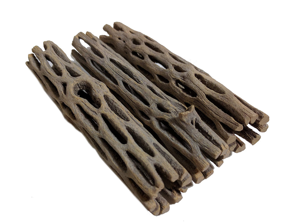 SoShrimp cholla natural para acuario, piezas de 4 pulgadas, refugio seguro para camarones.
