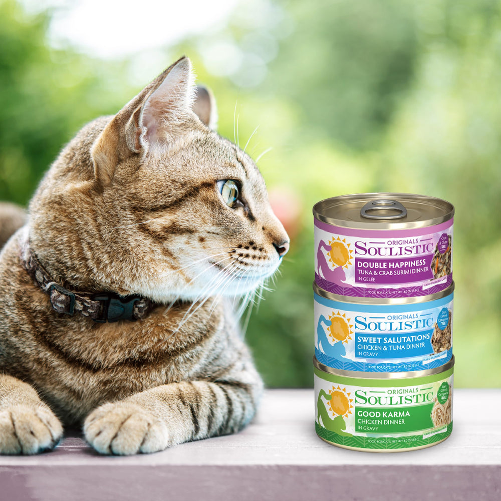 Soulistic Originals: alimento completo para gatos adultos servido en plato.