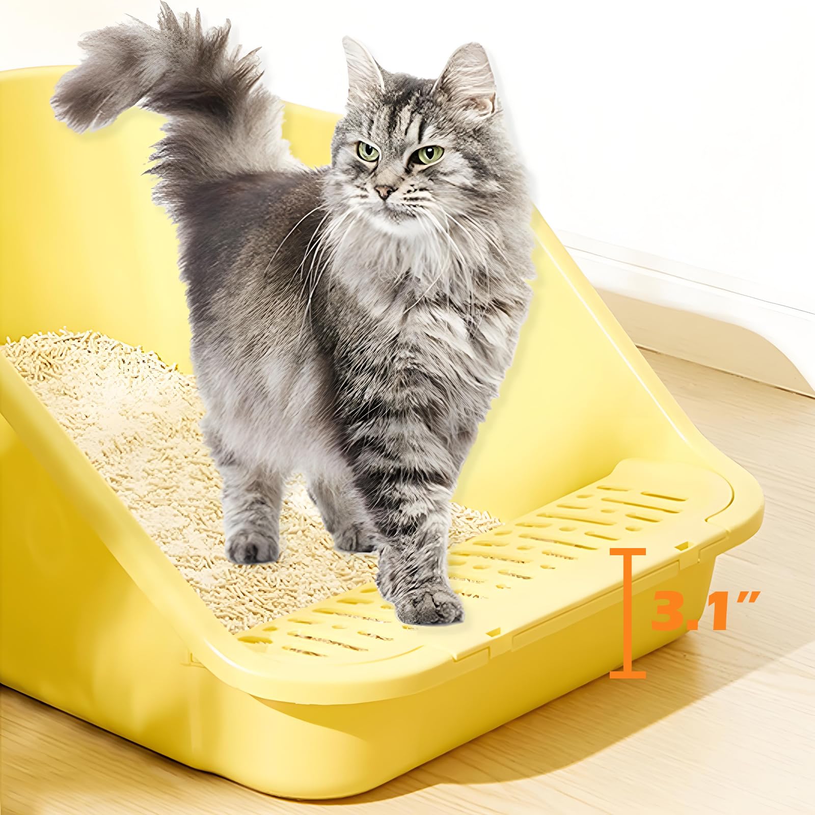 SpaceTime caja-gato anti-salpicaduras gris: reduce salpicaduras durante el uso
