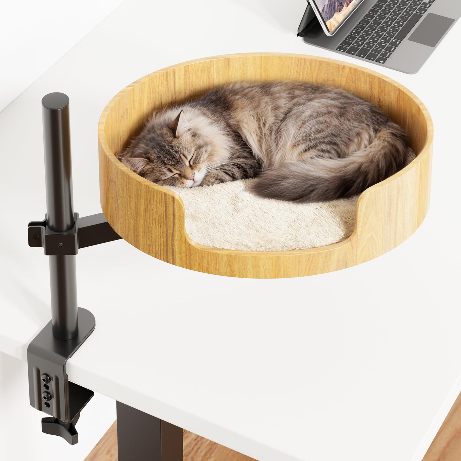 Spacocld cama de gato en escritorio elevando al gato para observar desde arriba.
