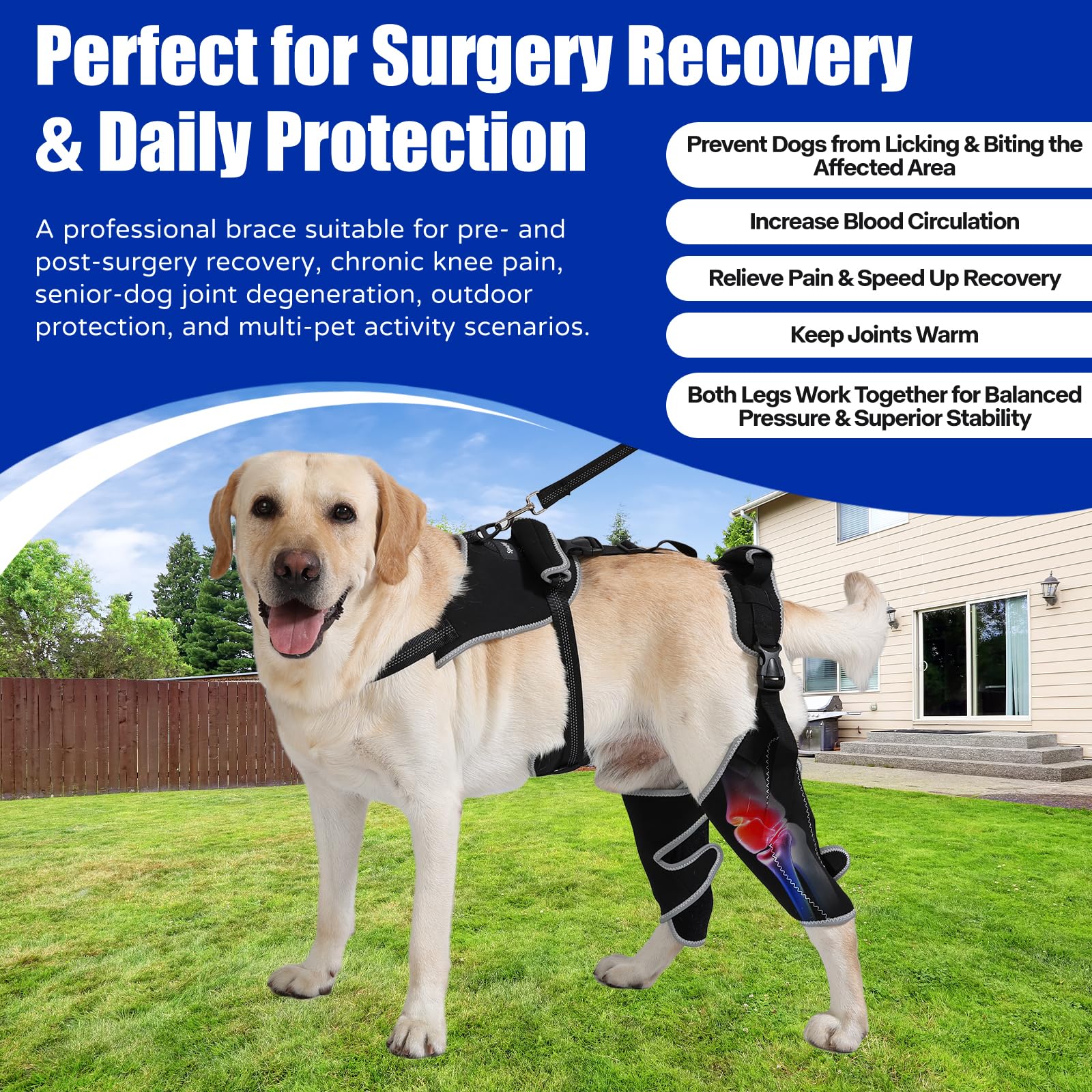 Spajoy arnés de pecho para perro, proporciona sujeción adicional sin limitar movimientos.