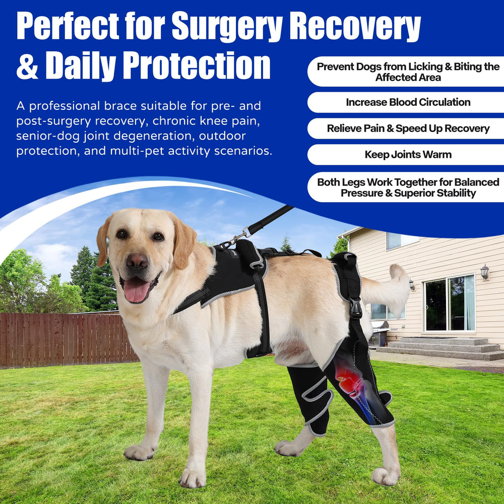 Spajoy arnes-pecho-perro: soporte cómodo para salidas al exterior.